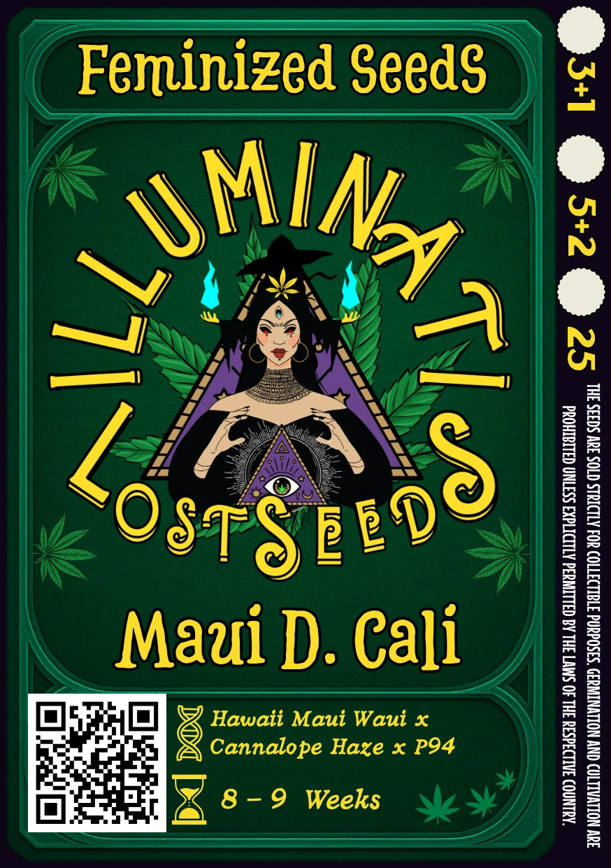 Maui D. Cali