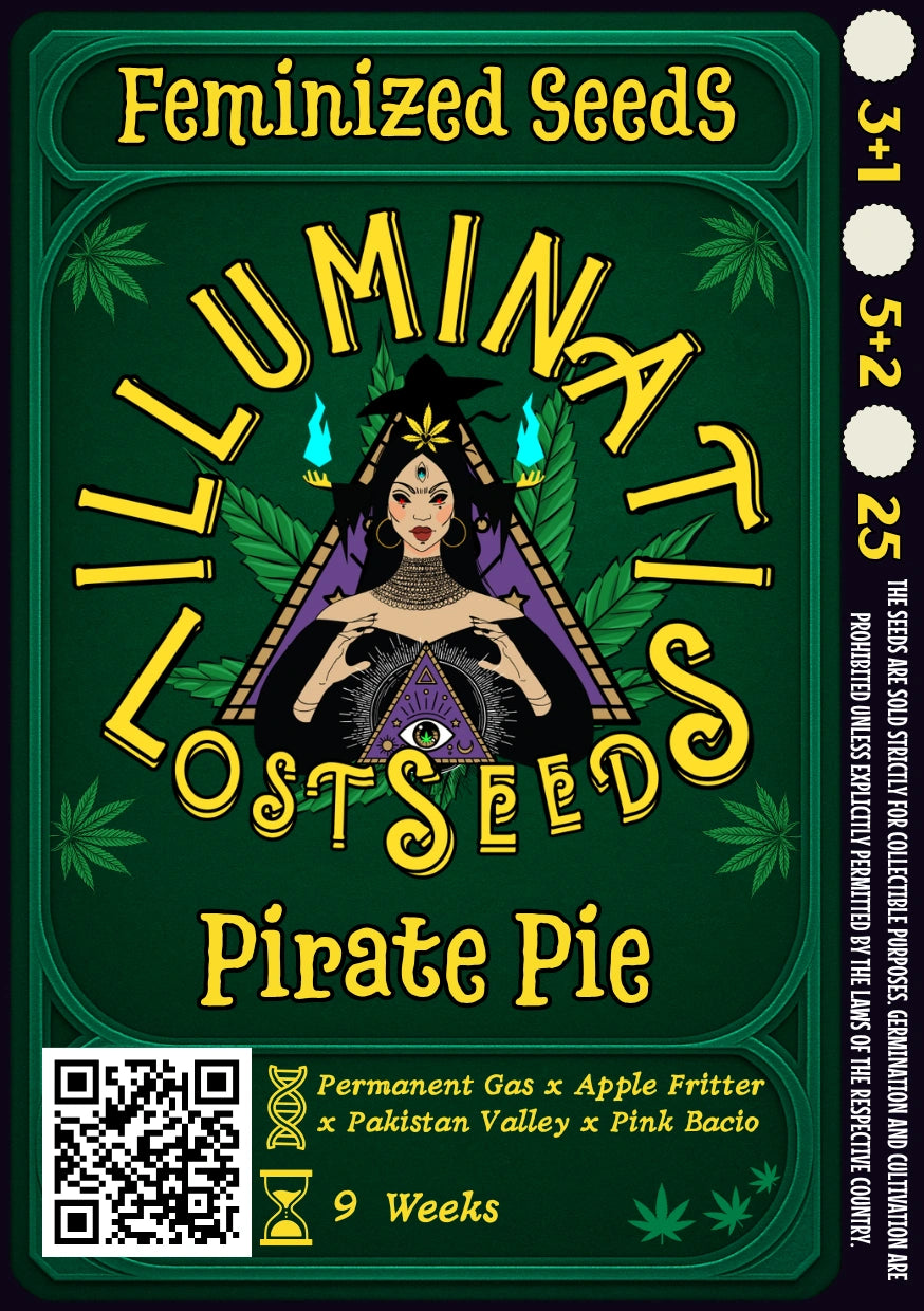 Pirate Pie