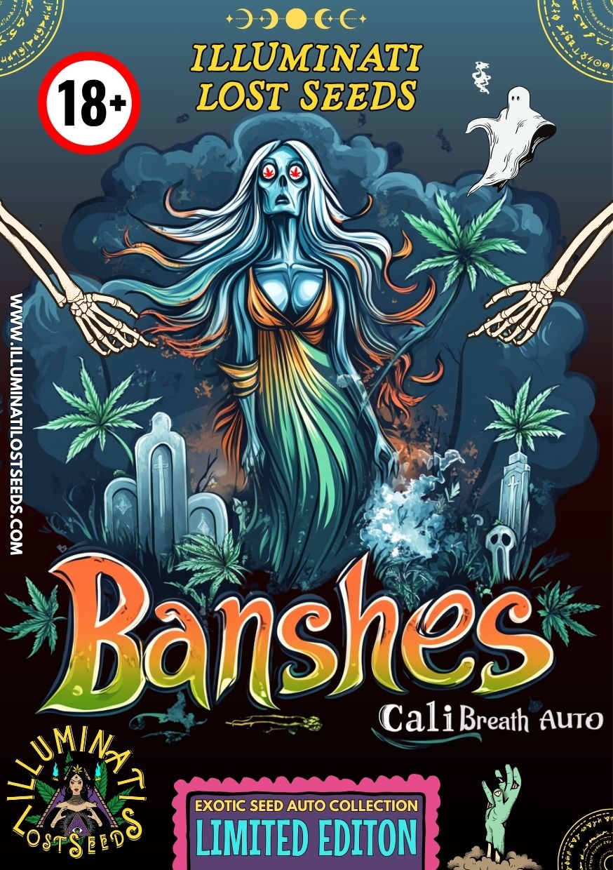 Vibrant packaging design for Banshes Cali Breath Auto cannabis seeds by Illuminati Lost Seeds, featuring a ghostly banshee figure, skeletal hands, palm trees, tombstones, 18+ label, and limited edition branding.