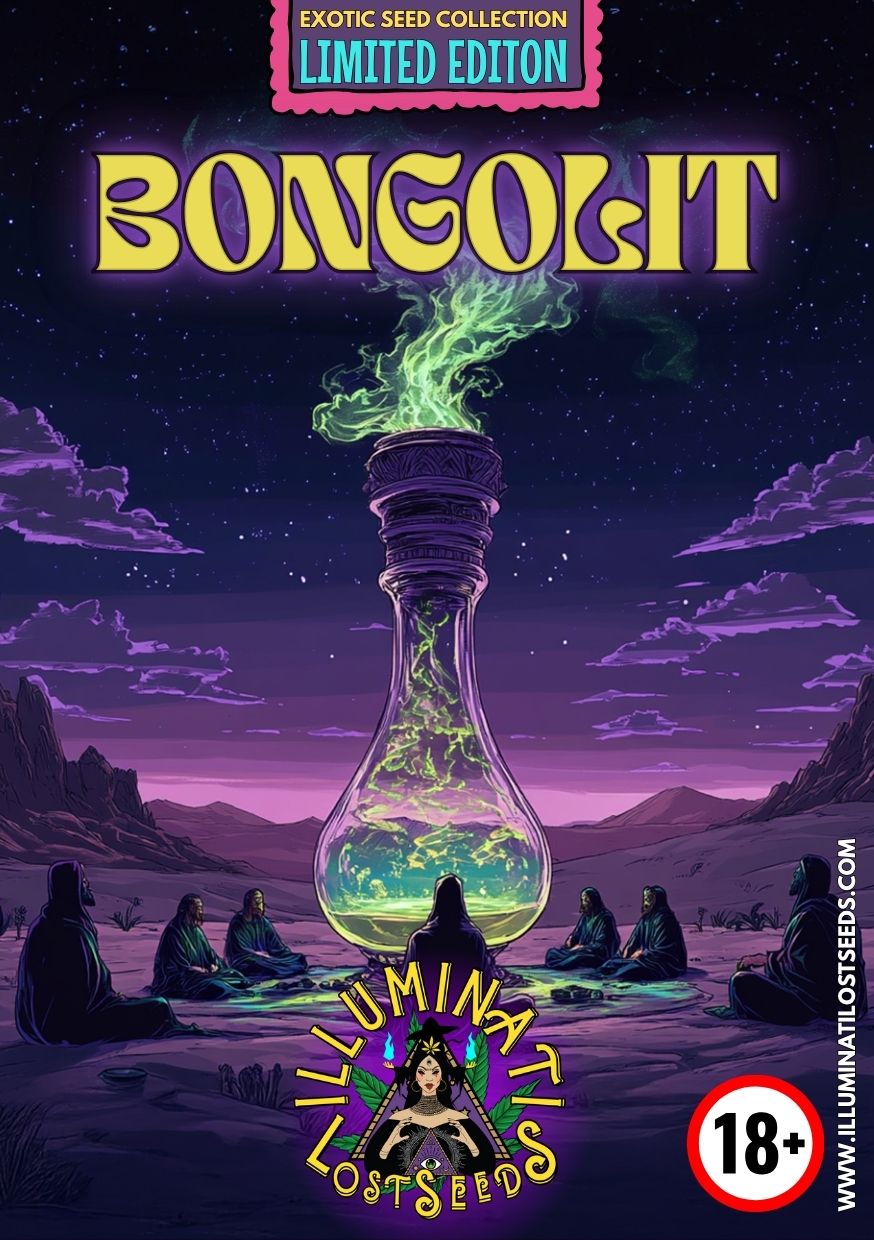 Artistic packaging for Bongolit feminized cannabis seeds by Illuminati Lost Seeds, featuring a glowing mystical potion bottle, green smoke, cloaked figures in a desert under a starry night sky, bold yellow branding, limited edition and 18+ labels.