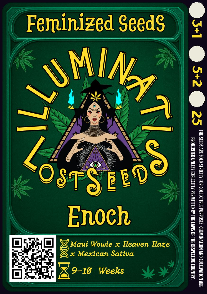 Detailed packaging design for Enoch feminized cannabis seeds by Illuminati Lost Seeds, featuring mystical artwork with DNA and hourglass icons, bold yellow branding, genetic lineage, flowering time.