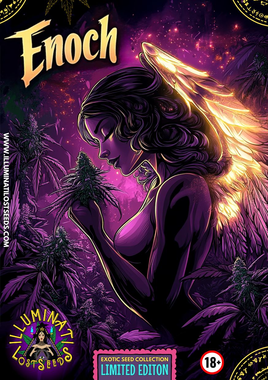 Limited edition packaging design for Enoch cannabis seeds by Illuminati Lost Seeds, featuring an ethereal female figure with glowing angel wings holding lush cannabis buds, surrounded by vibrant purple and gold leaves, starry cosmic background, bold branding, and age 18+ label.