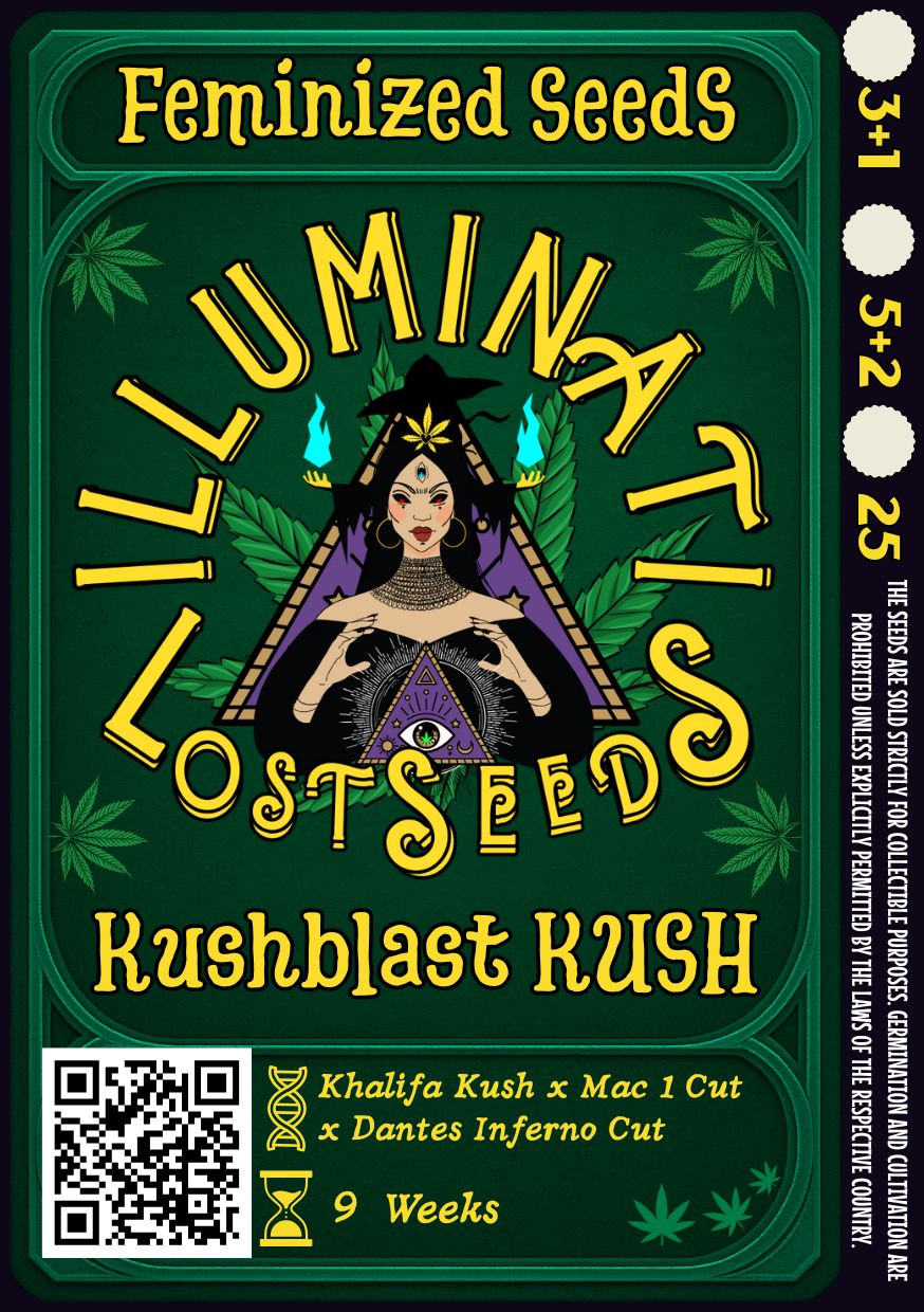 Detailed packaging design for Kushblast KUSH feminized cannabis seeds by Illuminati Lost Seeds, featuring mystical artwork with DNA and hourglass icons, bold yellow branding, genetic lineage, flowering time.
