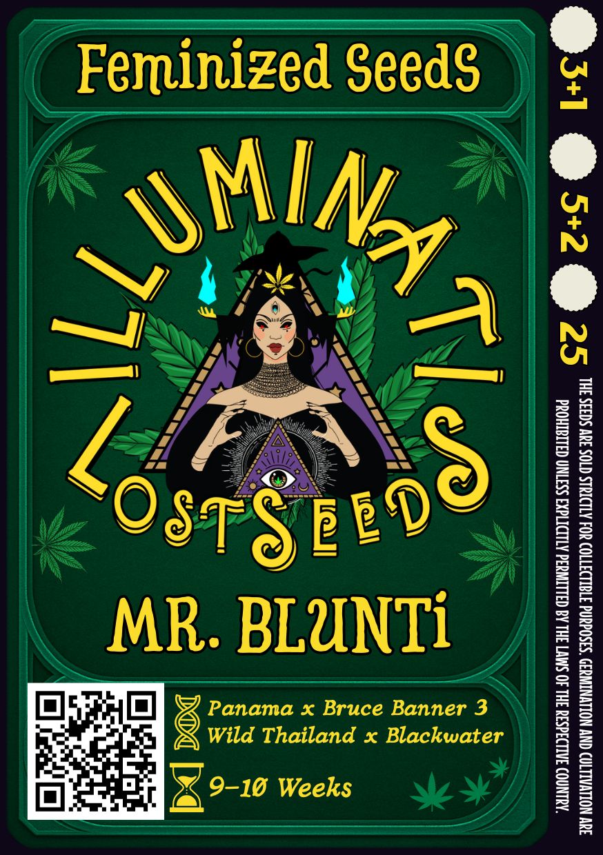 Detailed packaging design for Mr Blunti feminized cannabis seeds by Illuminati Lost Seeds, featuring mystical artwork with DNA and hourglass icons, bold yellow branding, genetic lineage, flowering time.