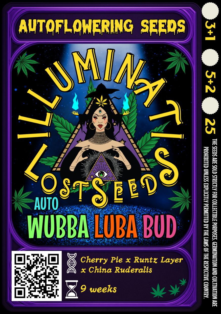Colorful packaging design for Illuminati Lost Seeds Wubba Luba Bud Auto cannabis seeds, featuring mystical wizard graphics, glowing blue flames, cannabis leaves and product details for autoflowering genetics.