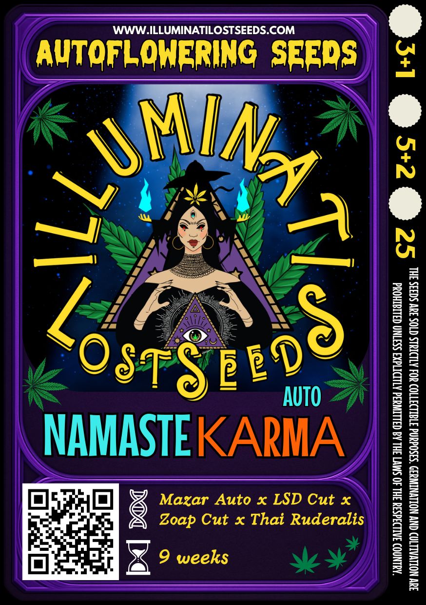 Colorful packaging design for Illuminati Lost Seeds Namaste Karma Auto cannabis seeds, featuring mystical wizard graphics, glowing blue flames, cannabis leaves and product details for autoflowering genetics.