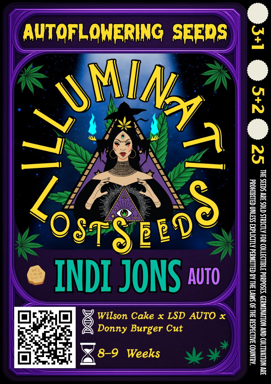 Colorful packaging design for Illuminati Lost Seeds Indi Jons Auto cannabis seeds, featuring mystical wizard graphics, glowing blue flames, cannabis leaves and product details for autoflowering genetics.