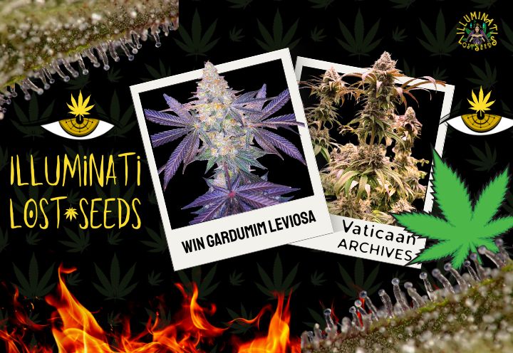 Illuminati Lost Seeds Promo 1