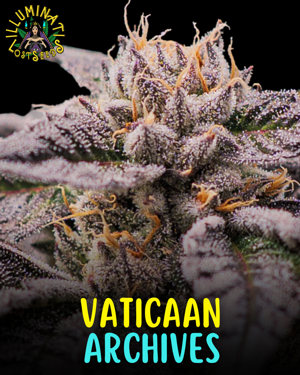 Vaticaan Archives