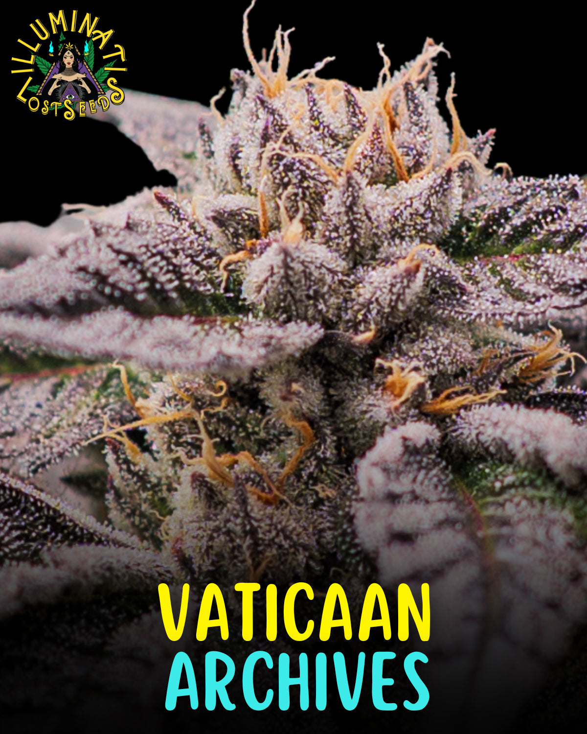 Vaticaan Archives